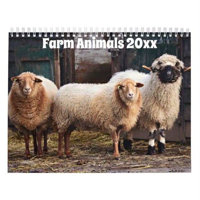Calendário Animais de exploração (Capa)