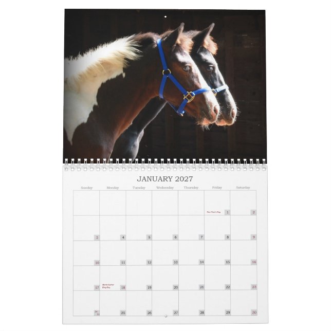 Calendário Animais de fazenda bonitos (Jan 2027)