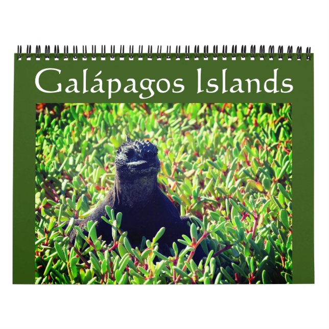 Calendário animais de galápagos 2025 (Capa)