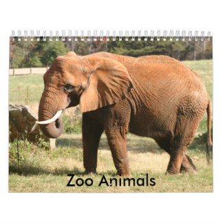 Calendário Animais do jardim zoológico