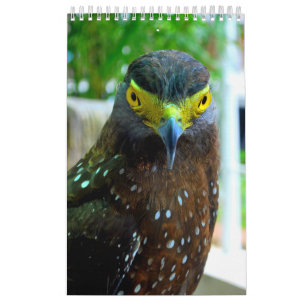 Calendário Animais e Animais de companhia