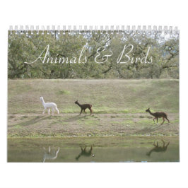 Calendário - Animais e Aves