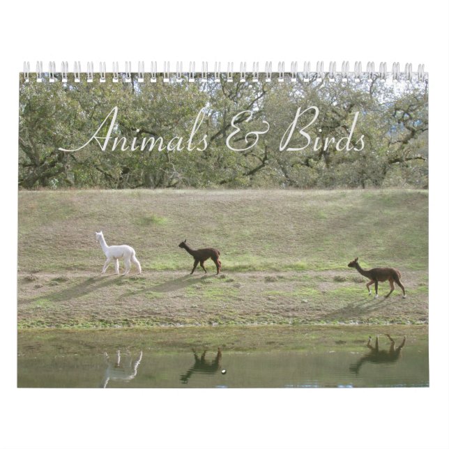 Calendário - Animais e Aves (Capa)