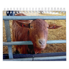 Calendário Animais e insetos, do interior inglês