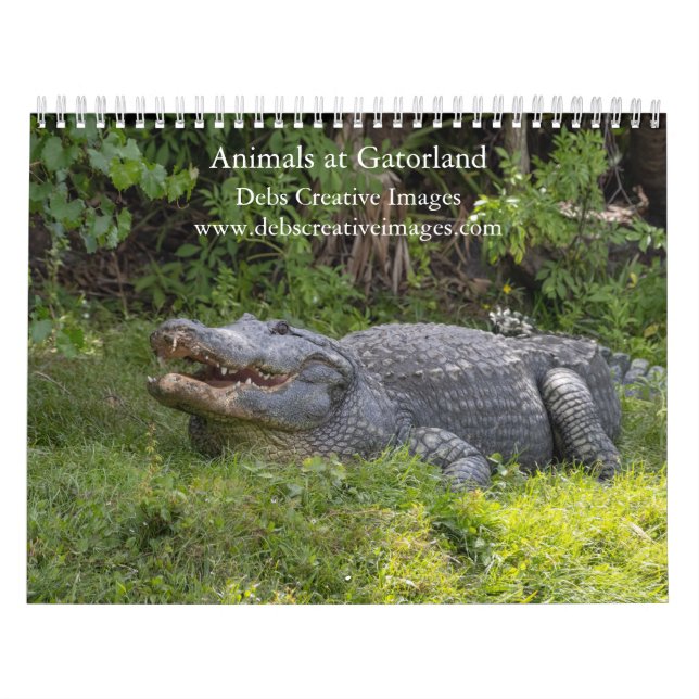 Calendário Animais em Gatorland 2026 (Capa)