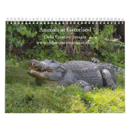 Calendário Animais em Gatorland 2026