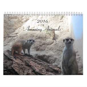 Calendário Animais Inteligentes