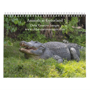 Calendário Animais na Gatorland 2025