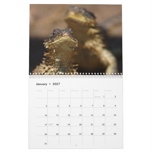 Calendário Animais & natureza (Jan 2027)
