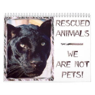 Calendário Animais salvados - nós não somos animais de