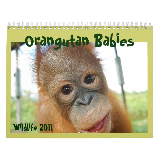 Calendário Animais selvagens bonitos dos macacos (Capa)