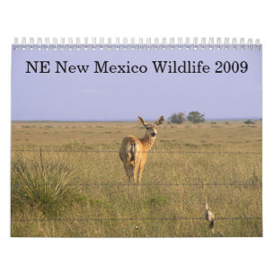 Calendário Animais selvagens do nordeste 2009 de New mexico