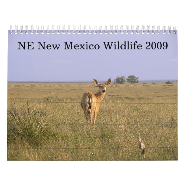 Calendário Animais selvagens do nordeste 2009 de New mexico (Capa)