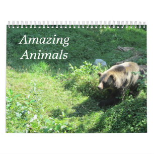 Calendário Animais Selvagens Encantadores na Natureza 