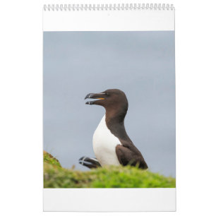 Calendário Animais selvagens escoceses, selvagem e livre