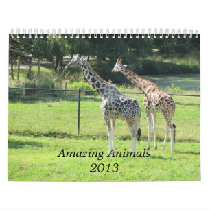 Calendário Animais surpreendentes 2013