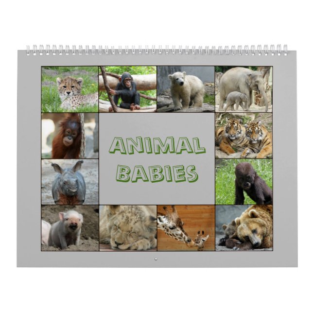 Calendário AnimaisBebês 001 (Capa)