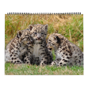 Calendário Animal
