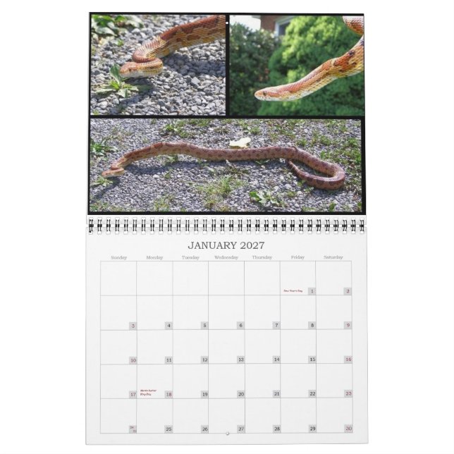 Calendário animal (Jan 2027)