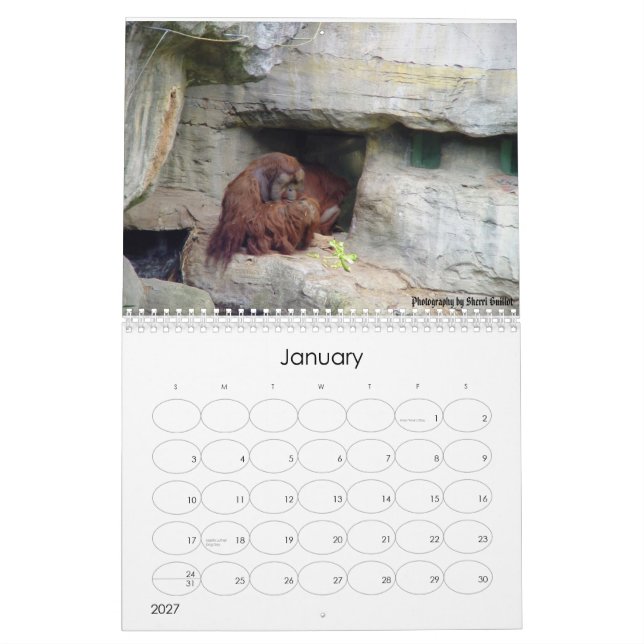 Calendário Animal 2008 (Jan 2027)