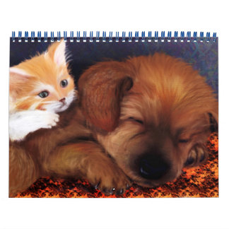 Calendário Animal 2013