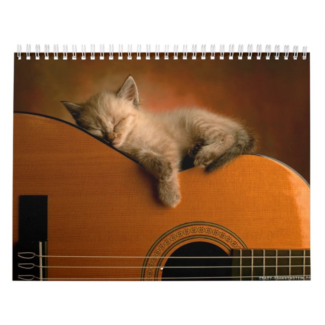 Calendário animal 7 (Capa)