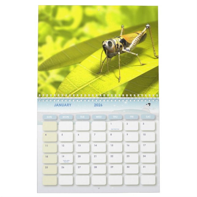 Calendário animal 8 (Jan 2026)