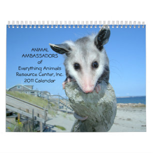 Calendário animal dos embaixadores 2011 parede