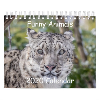 Calendário Animal Engraçado