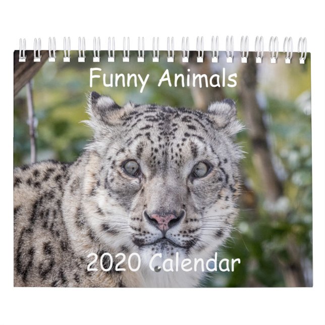 Calendário Animal Engraçado (Capa)