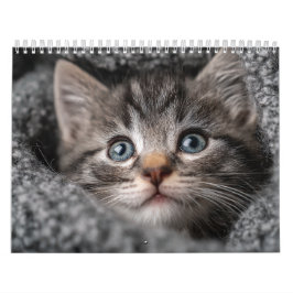 Calendário Animal Estético Aconchegante | Parede de Fotografi