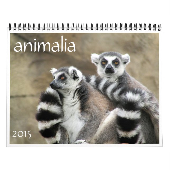 Calendário animalia 2015 (Capa)