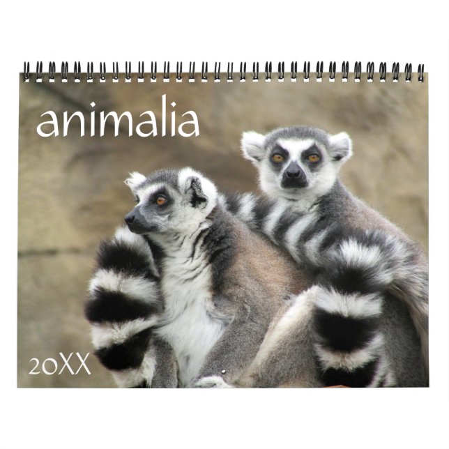 Calendário animalia 2027 (Capa)
