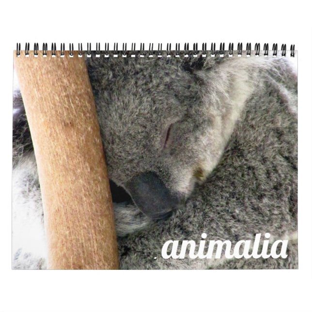 Calendário animalia 2027 (Capa)