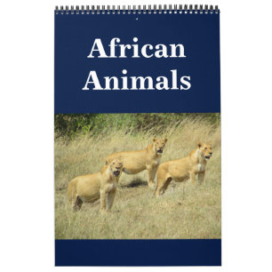 Calendário animalia africana