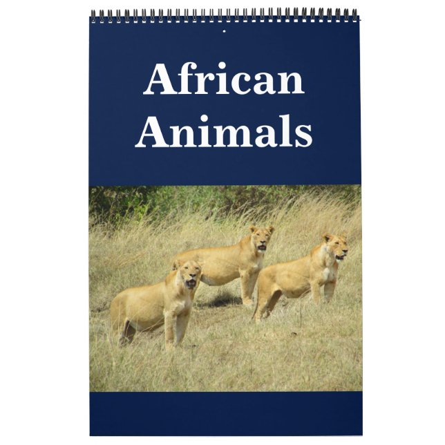Calendário animalia africana (Capa)