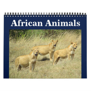 Calendário animalia africana