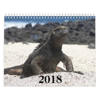 Calendário animals and birds of Galapagos