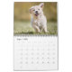 Calendário Ano Crie seu próprio cão da família Foto personali (Ago 2025)