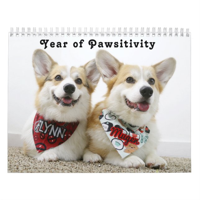 Calendário Ano de Pawsitividade de Flynn & Mugen (Capa)