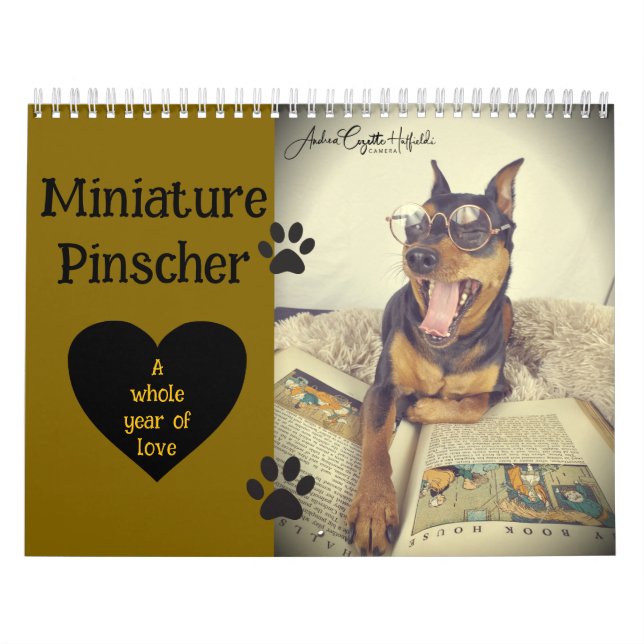 Calendário Ano do Pinscher Miniatura (Capa)