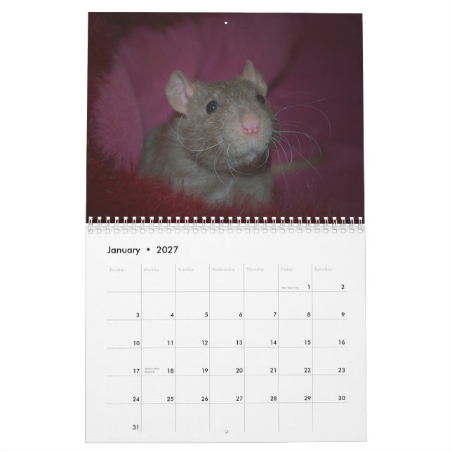 Calendário Ano do rato Calander (Jan 2027)
