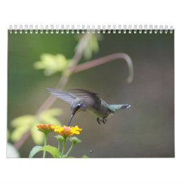 Calendário Ano dos colibris 'redondo