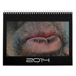 Calendário Ano no ano para fora