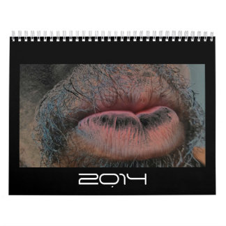 Calendário Ano no ano para fora