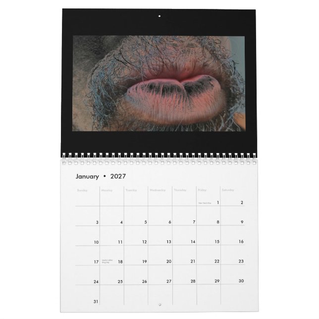 Calendário Ano no ano para fora (Jan 2027)