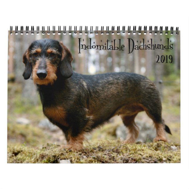 Calendário Ano Personalizado dos Dachshouts Indomáveis (Capa)