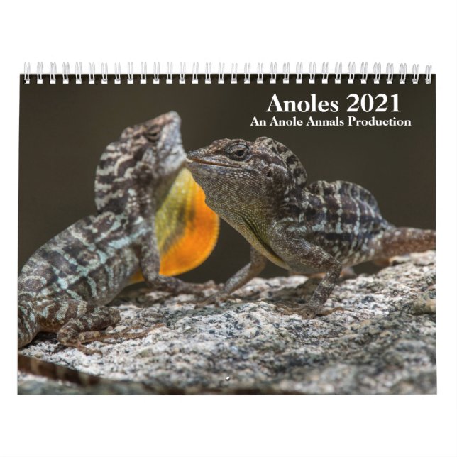 Calendário Anole Annals 2021 Calendar (Capa)