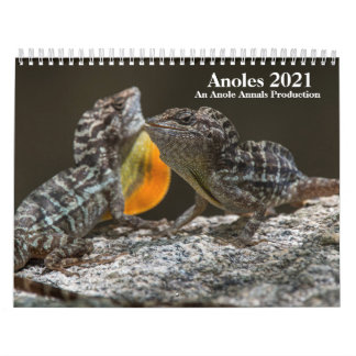 Calendário Anole Annals 2021 Calendar