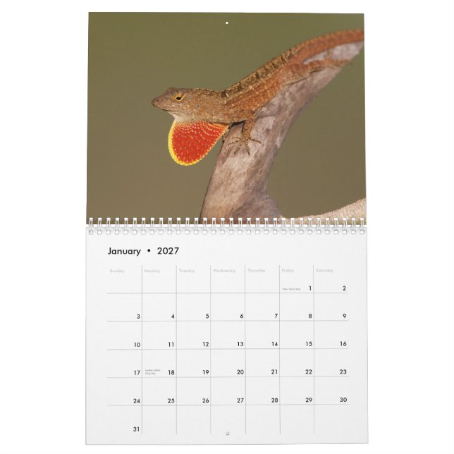 Calendário Anoles 2012 (Jan 2027)